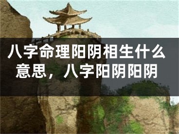 八字命理阳阴相生什么意思，八字阳阴阳阴
