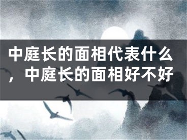 中庭长的面相代表什么，中庭长的面相好不好