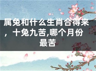 属兔和什么生肖合得来,十兔九苦,哪个月份最苦