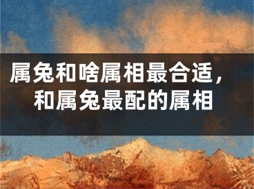 属兔和啥属相最合适，和属兔最配的属相