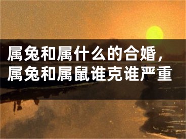 属兔和属什么的合婚，属兔和属鼠谁克谁严重