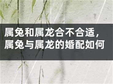 属兔和属龙合不合适，属兔与属龙的婚配如何