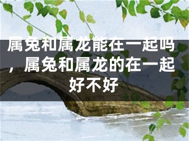 属兔和属龙能在一起吗，属兔和属龙的在一起好不好