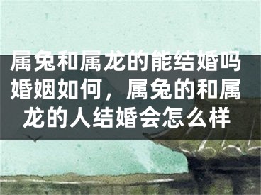 属兔和属龙的能结婚吗婚姻如何，属兔的和属龙的人结婚会怎么样