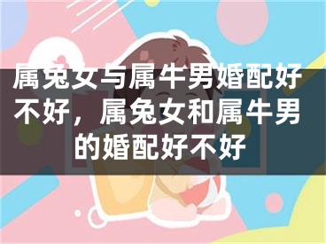 属兔女与属牛男婚配好不好，属兔女和属牛男的婚配好不好