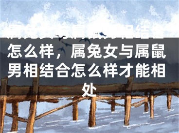 属兔女与属鼠男相结合怎么样，属兔女与属鼠男相结合怎么样才能相处