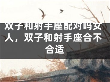 双子和射手座配对吗女人，双子和射手座合不合适