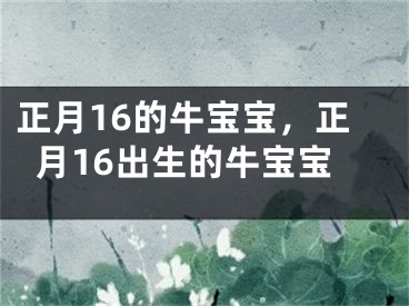 正月16的牛宝宝，正月16出生的牛宝宝