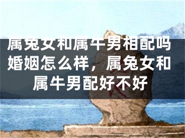 属兔女和属牛男相配吗婚姻怎么样，属兔女和属牛男配好不好