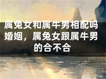 属兔女和属牛男相配吗婚姻，属兔女跟属牛男的合不合