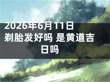 2026年6月11日剃胎发好吗 是黄道吉日吗