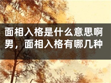 面相入格是什么意思啊男，面相入格有哪几种