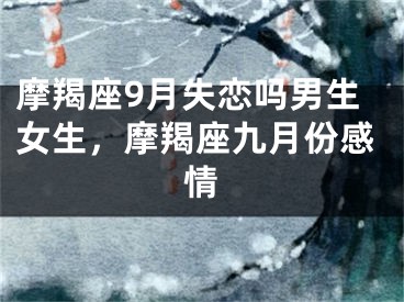 摩羯座9月失恋吗男生女生，摩羯座九月份感情
