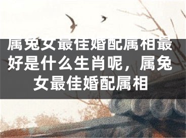 属兔女最佳婚配属相最好是什么生肖呢，属兔女最佳婚配属相