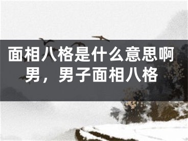 面相八格是什么意思啊男,男子面相八格