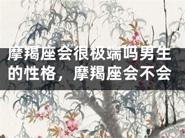 摩羯座会很极端吗男生的性格，摩羯座会不会