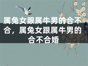 属兔女跟属牛男的合不合，属兔女跟属牛男的合不合婚