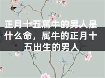 正月十五属牛的男人是什么命，属牛的正月十五出生的男人