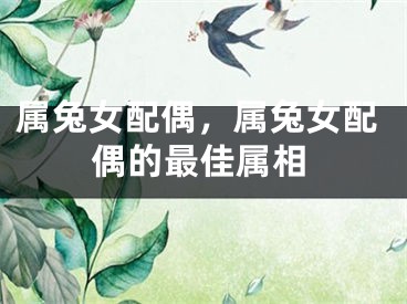 属兔女配偶，属兔女配偶的最佳属相