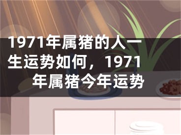 1971年属猪的人一生运势如何，1971年属猪今年运势