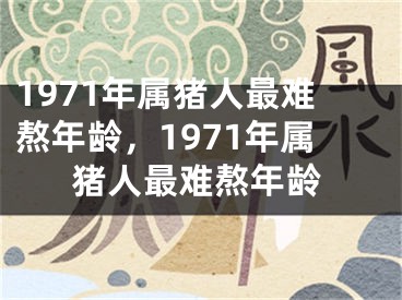 1971年属猪人最难熬年龄，1971年属猪人最难熬年龄
