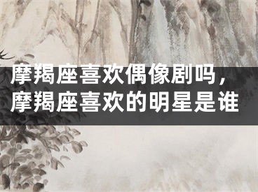 摩羯座喜欢偶像剧吗，摩羯座喜欢的明星是谁