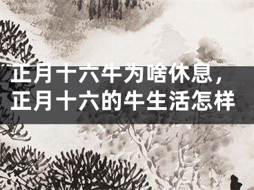 正月十六牛为啥休息，正月十六的牛生活怎样