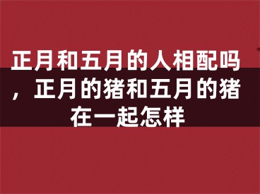 正月和五月的人相配吗，正月的猪和五月的猪在一起怎样