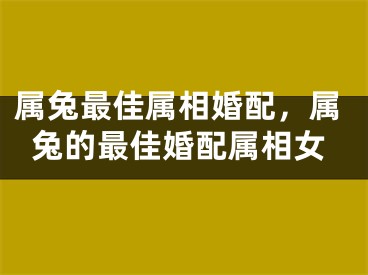 属兔最佳属相婚配，属兔的最佳婚配属相女