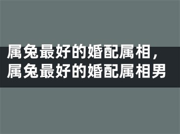 属兔最好的婚配属相，属兔最好的婚配属相男