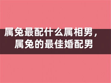 属兔最配什么属相男，属兔的最佳婚配男