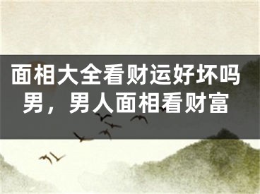 面相大全看财运好坏吗男，男人面相看财富