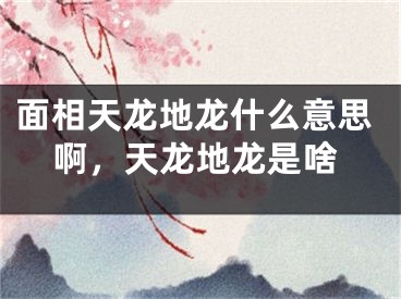 面相天龙地龙什么意思啊，天龙地龙是啥