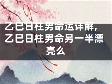 乙巳日柱男命运详解,乙巳日柱男命另一半漂亮么