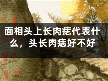 面相头上长肉痣代表什么，头长肉痣好不好
