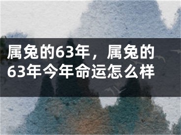 属兔的63年,属兔的63年今年命运怎么样