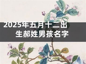 2025年五月十二出生郝姓男孩名字