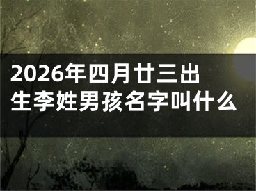 2026年四月廿三出生李姓男孩名字叫什么