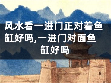 风水看一进门正对着鱼缸好吗,一进门对面鱼缸好吗