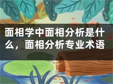 面相学中面相分析是什么，面相分析专业术语