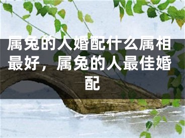 属兔的人婚配什么属相最好，属兔的人最佳婚配