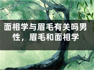 面相学与眉毛有关吗男性，眉毛和面相学