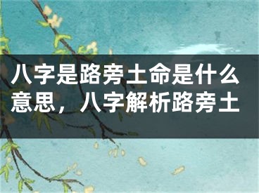 八字是路旁土命是什么意思，八字解析路旁土