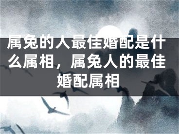 属兔的人最佳婚配是什么属相，属兔人的最佳婚配属相