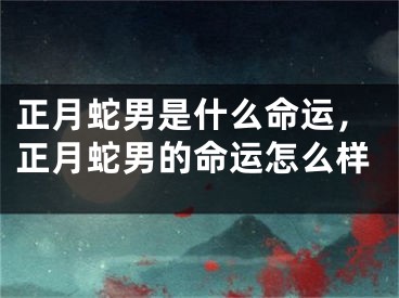 正月蛇男是什么命运，正月蛇男的命运怎么样
