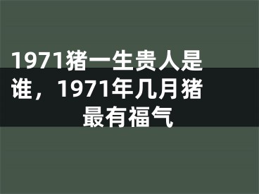 1971猪一生贵人是谁,1971年几月猪最有福气