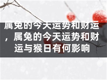 属兔的今天运势和财运，属兔的今天运势和财运与猴日有何影响
