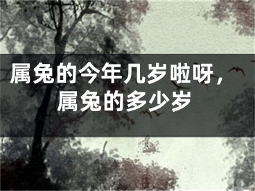 属兔的今年几岁啦呀，属兔的多少岁