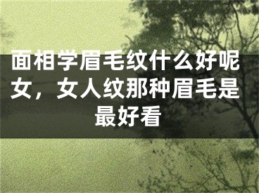面相学眉毛纹什么好呢女，女人纹那种眉毛是最好看