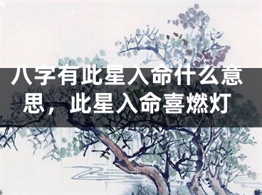 八字有此星入命什么意思，此星入命喜燃灯
